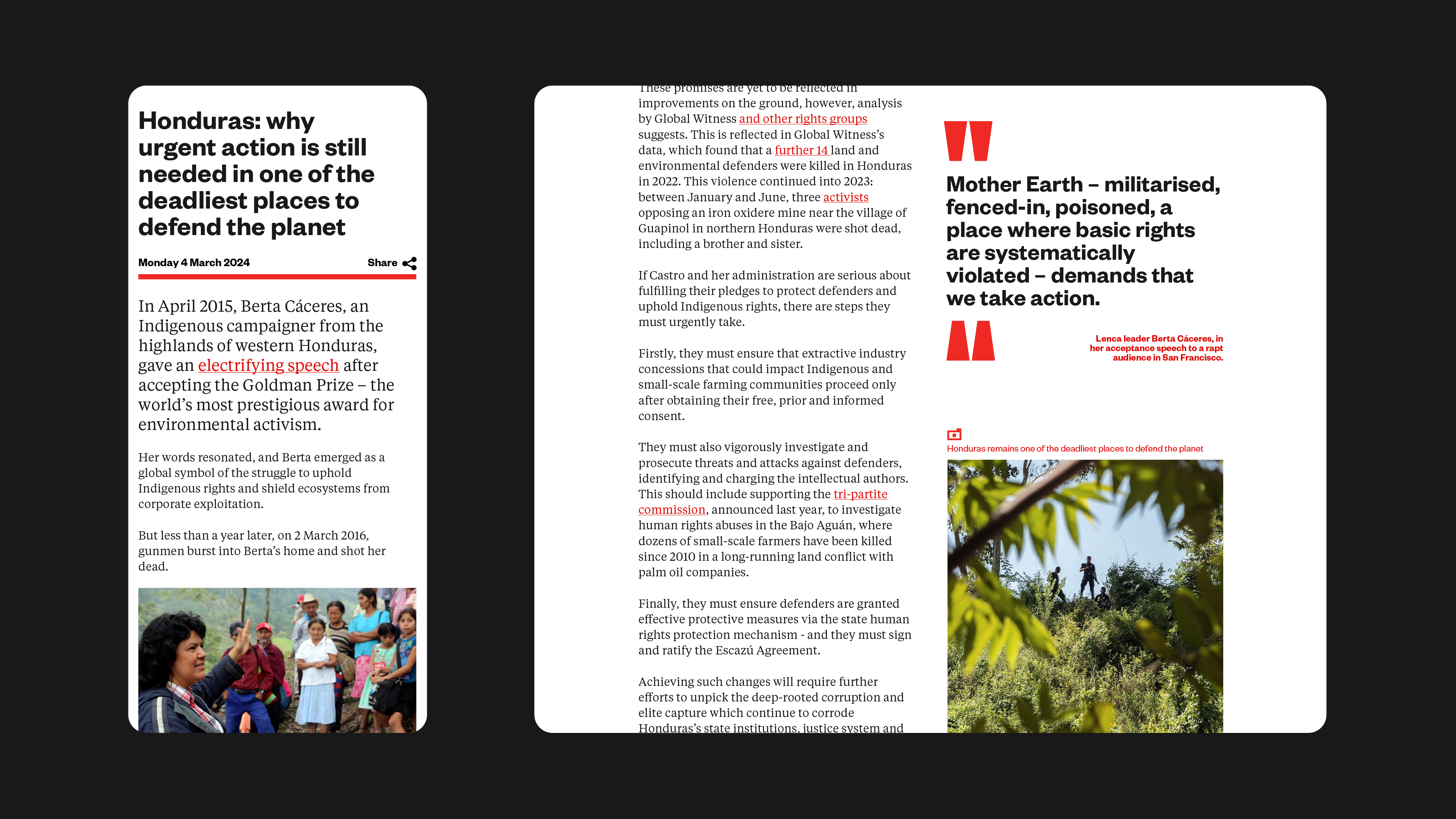 Global Witness Something More 09